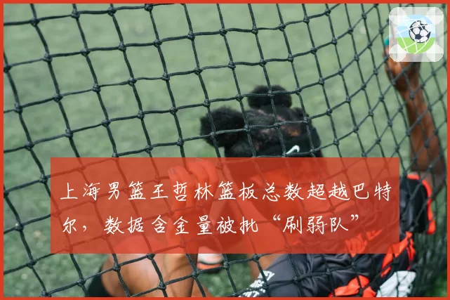 上海男篮王哲林篮板总数超越巴特尔，数据含金量被批“刷弱队”