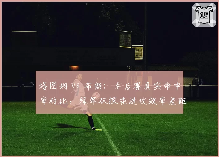 塔图姆 vs 布朗：季后赛真实命中率对比，绿军双探花进攻效率差距显著